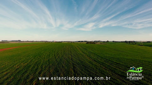 DO SOL P O TRIGO.00_02_54_02.Quadro031_cead893a3cdb89221c966b21b9ac3ce90d7e1432.jpg